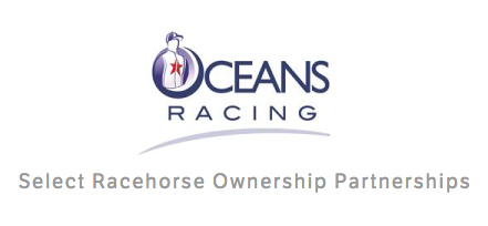 Racehorse Ownership